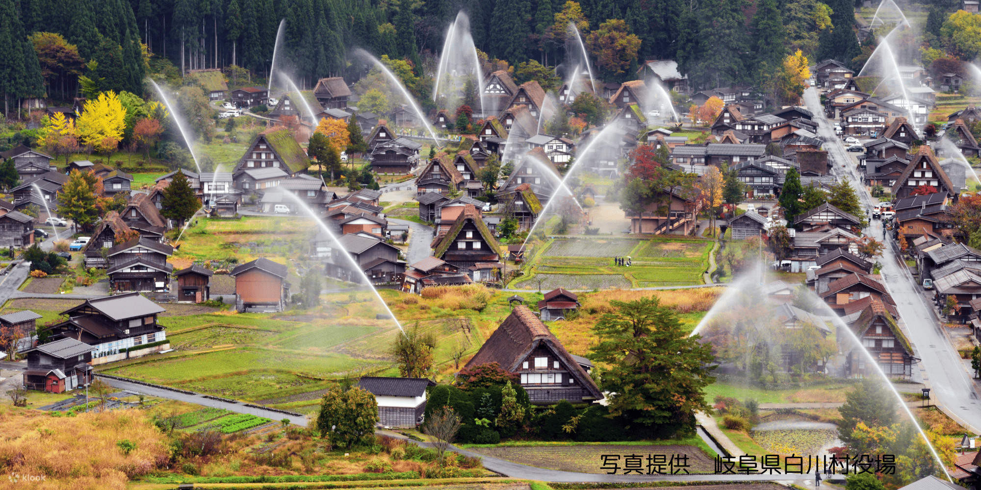 白川郷フェス FINAL2 限定CD2枚 あの夏の日の光 promise 1名様からツアー催行] 白川郷合掌村日帰りツアー｜展望台入場